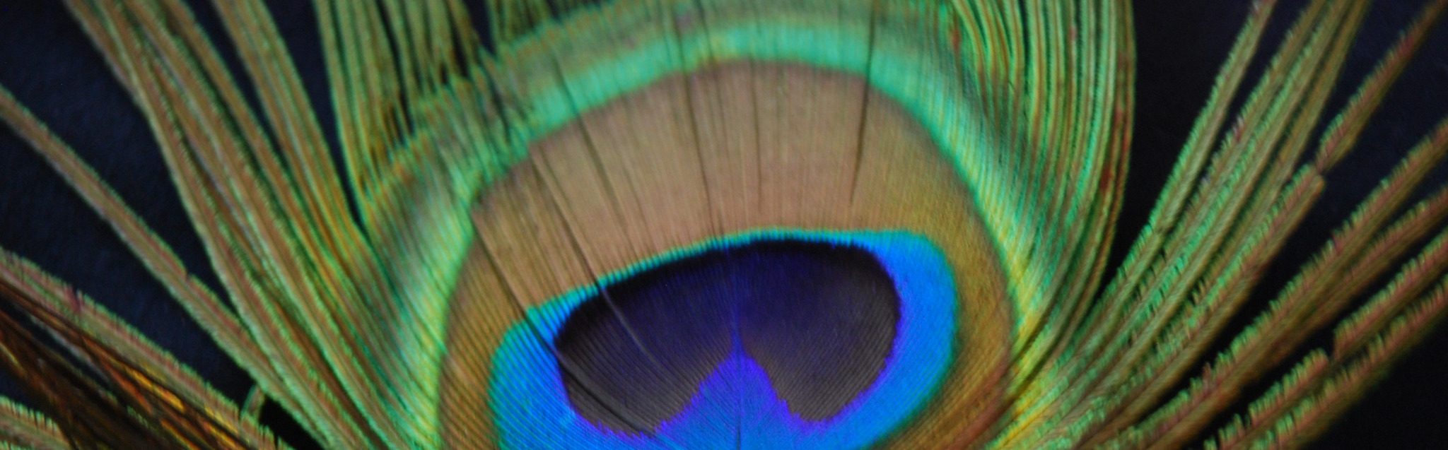 Hypnose Praxis Silke Mueller